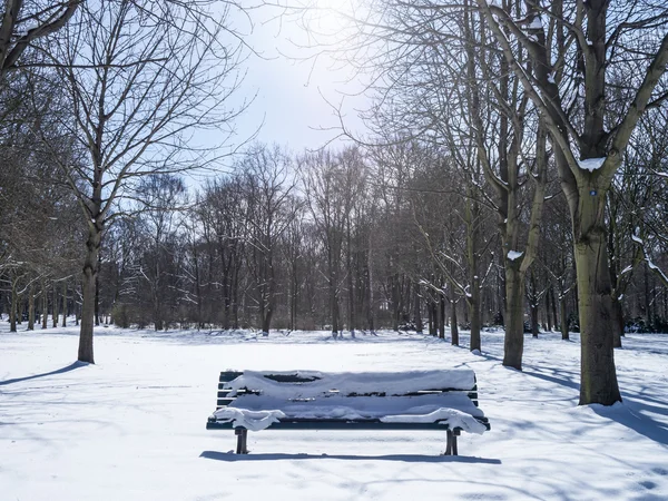 Parkta bir bank. — Stok fotoğraf