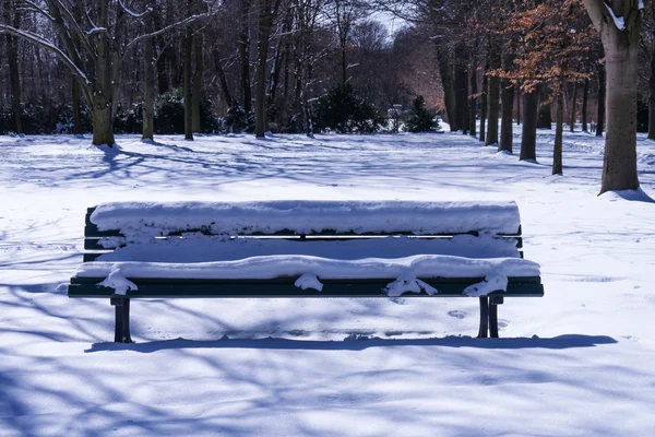 En bänk i parken — Stockfoto