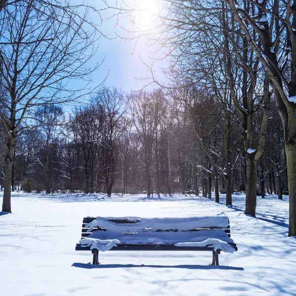 En bänk i parken — Stockfoto