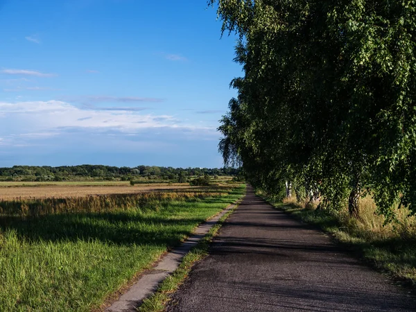 Велосипедный путь в ландшафте — стоковое фото