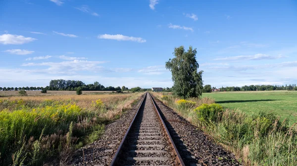 Rails in landscape — Stock Photo, Image