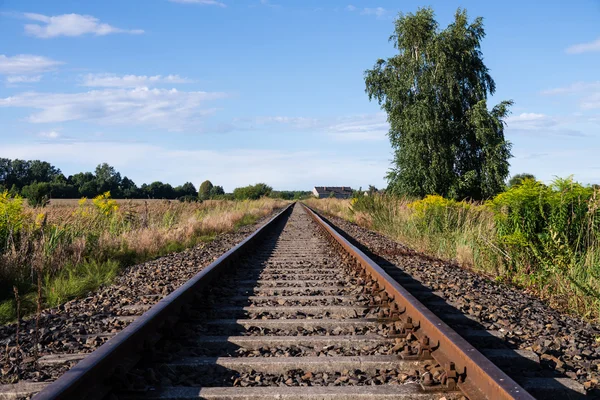 Rails in landscape — Stock Photo, Image