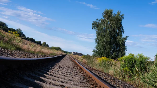 Rails in landscape — Stock Photo, Image