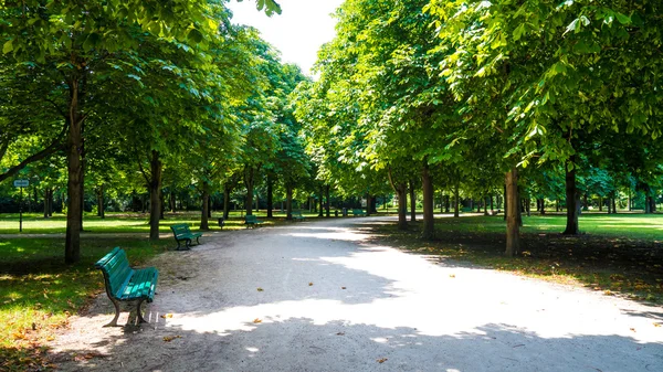 Tiergarten berlin — Stok fotoğraf