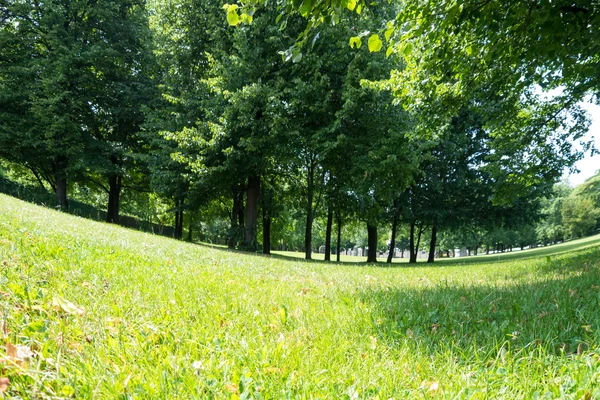 Parque no verão — Fotografia de Stock