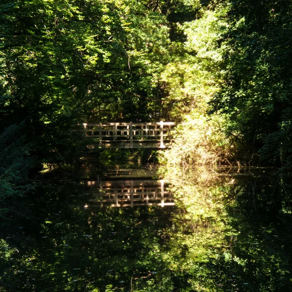 Lake and bridge — Stock Photo, Image