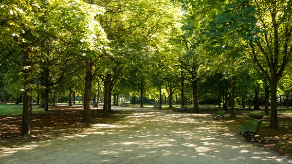 Tiergarten berlin — Stok fotoğraf