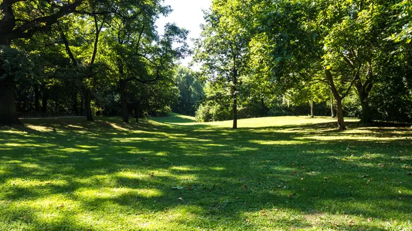 Park in summer — Stock Photo, Image