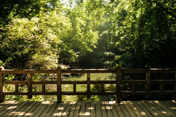 Lake and a bridge in park (tiergarten) — Stock Photo, Image