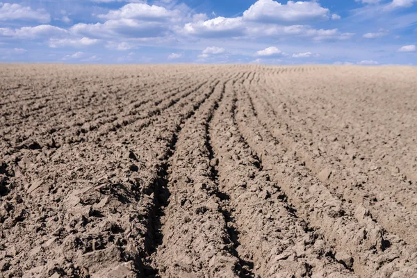 Campo — Foto de Stock