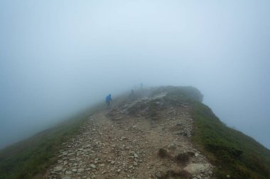 CARPATHIANS, UKRAINE - 14 Ağustos 2016: Yürüyüşçüler kalın sis içinde yürürler. Ukrayna Karpatları