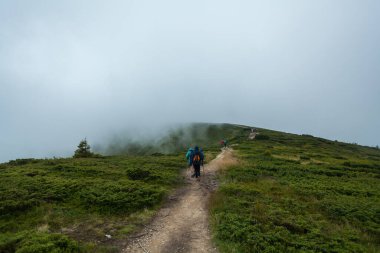 CARPATHIANS, UKRAINE - 14 Ağustos 2016: İnsanlar Chornohora 'nın üçüncü en yüksek zirvesine doğru yürüyüş yapıyor