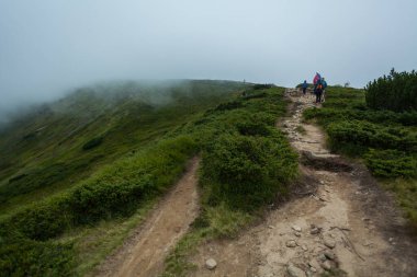 CARPATHIANS, UKRAINE - 14 Ağustos 2016: Dağlarda çocuklu aileler, Ukrayna Karpatları