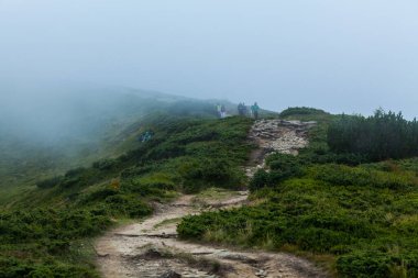 CARPATHIANS, UKRAINE - 14 Ağustos 2016: İnsanlar sisin içinde kayalık patika boyunca yürür