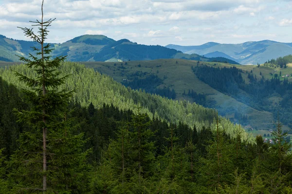 Montagnes à capuchon vert des Carpates ukrainiennes — Photo