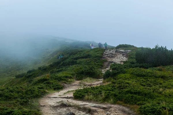 CARPATHIANS, UKRAINE - 14 Ağustos 2016: İnsanlar sisin içinde kayalık patika boyunca yürür