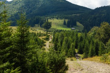 Vadide ağaçlarla, Karpat dağlarıyla, Ukrayna 'da yalnız bir ev.