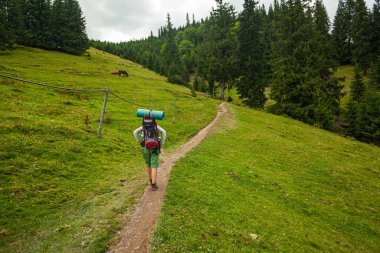 CARPATHIANS, UKRAINE - 13 Ağustos 2016: Sırt çantalı bir kadın dar patikada yürüyor, Karpatya dağları, Ukrayna