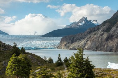Gri Buzul manzarası, Torres del Paine Ulusal Parkı, Şili