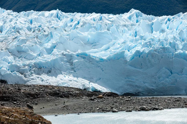 LOS GLACIARES NATIONAL PARK, ARGENTINA - 26 GENNAIO 2019: Una persona cammina verso il ghiacciaio del Perito Moreno — Foto Stock