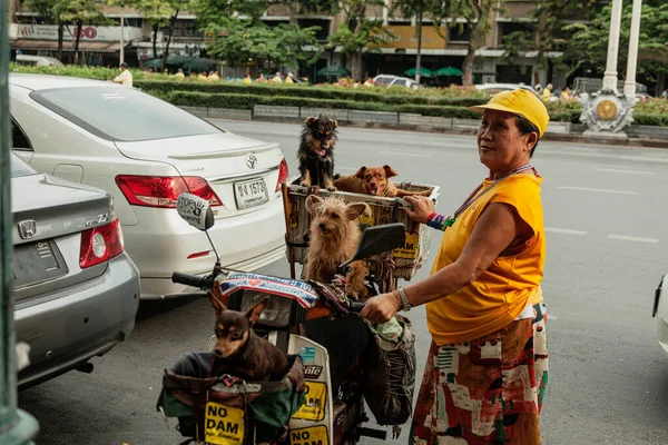 BANGKOK, THAILAND - MAY 3, 2014: A lady holds a motorbike full of dogs — Stock Photo, Image
