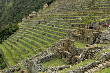 MACHU PICCHU, PERU - 9 Mart 2019: Machu Picchu 'nun tarımsal teraslarında yürüyen ziyaretçiler