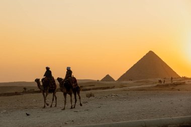 CAIRO, EGYPT- 17 Kasım 2018: insanlar piramitlerin etrafında deve turuna çıktılar