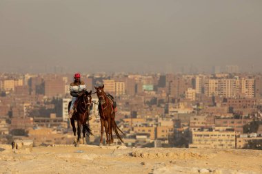CAIRO, EGYPT- NOVEMBER 17, 2018: A horse rider with two horses