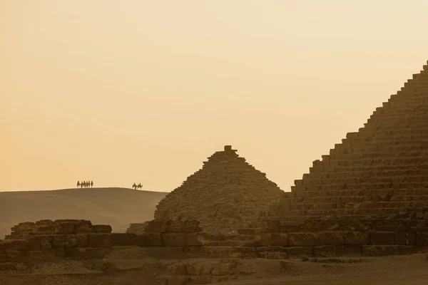 View of the camels walking on the dunes near the pyramids of Giza, Egypt — стоковое фото