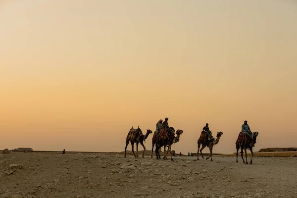 CAIRO, EGITO-NOVEMBRO 17, 2018: Caravana de camelo perto das grandes pirâmides de Gizé no Egito — Fotografia de Stock