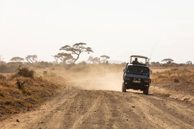 KENYA - 16 AĞUSTOS 2018: Amboseli Milli Parkı 'nda off-road