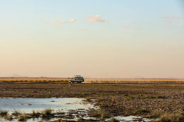KENIA - 16. AUGUST 2018: Offroad-Fahrt im Amboseli-Nationalpark — Stockfoto