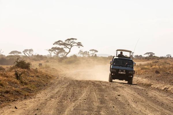 KENIA - 16 DE AGOSTO DE 2018: Conducir todo terreno en el Parque Nacional Amboseli —  Fotos de Stock