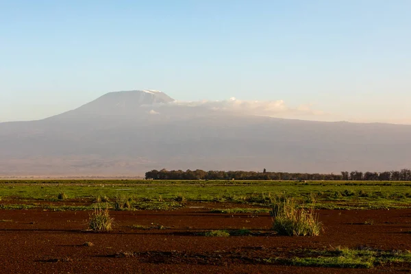 KENIA - 16 de agosto de 2018: Vista del Kilimanjaro desde el Parque Nacional Amboseli — Foto de Stock