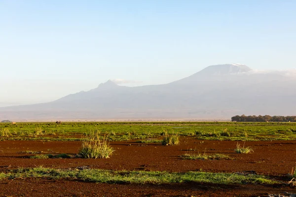 KENYA - AUGUST 16, 2018: Landscape of Amboseli National Park — Stock Photo, Image