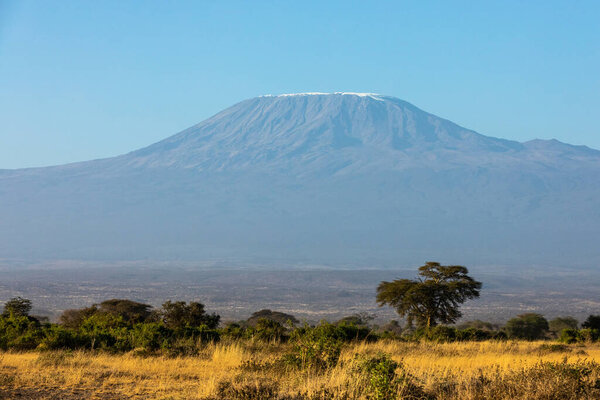 KENYA - AUGUST 16, 2018: Mt Kilimanjaro on sunny day in Amboseli National Park.