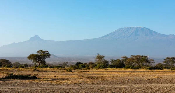 KENYA - 16 AĞUSTOS 2018 Amboseli Ulusal Parkı