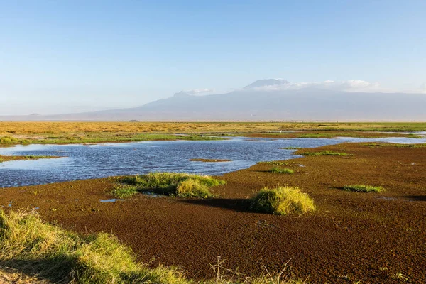 KENYA - AUGUST 16, 2018: Mt Kilimanjaro next to the lake in Amboseli National Park — Stock Photo, Image