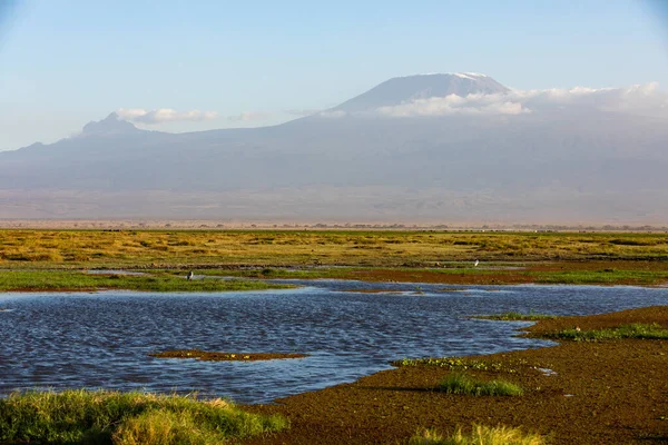 KENYA - AUGUST 16, 2018: Mount Kilimanjaro scenery in Amboseli National Park — Stock Photo, Image