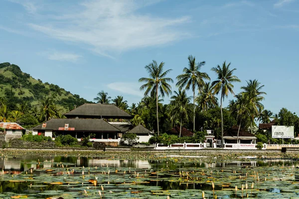 Красивый пейзаж пруда с водяными лилиями, Бали, Индонезия — стоковое фото