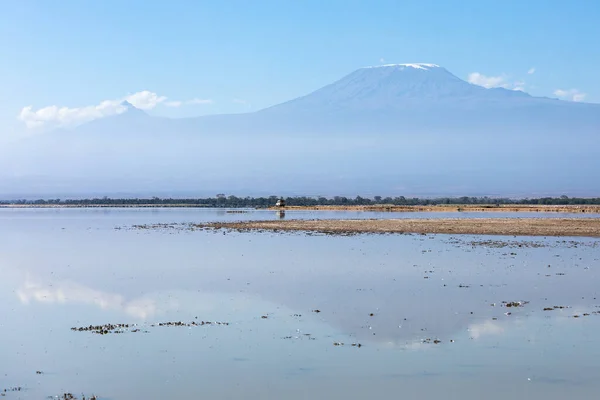 PARQUE NACIONAL AMBOSELI - 17 DE SEPTIEMBRE DE 2018: Jeep safari de vida silvestre con un turista a bordo — Foto de Stock