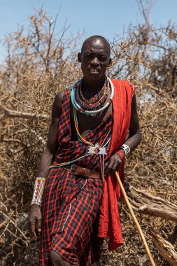 AMBOSELİ ULUSAL PARK - 17 Eylül 2018: kaslı bir Maasai savaşçısının portresi
