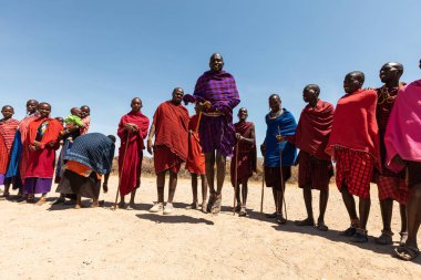 AMBOSELİ ULUSAL PARK - 17 Eylül 2018: Genç Masai erkeği geleneksel masai çiftleşme dansı yaparak gücünü gösterdi