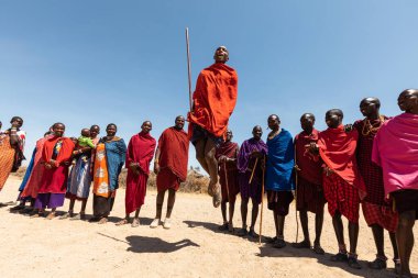 AMBOSELİ ULUSAL PARK - 17 Eylül 2018: Genç Masai adam dans ediyor ve şarkı söylüyor