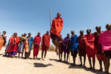 AMBOSELİ ULUSAL PARK - 17 Eylül 2018: Genç Masai adam dans ediyor ve şarkı söylüyor