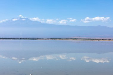 Amboseli Gölü ve Kilimanjaro Dağı, Amboseli Milli Parkı, Kenya