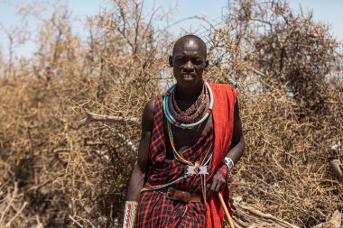 AMBOSELİ ULUSAL PARK - 17 Eylül 2018: Geleneksel aksesuarlı Maasai savaşçısı