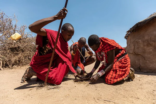 AMBOSELI NEMZETI PARK - SZEPTEMBER 17, 2018: Maasai harcosok tüzet gyújtanak gyufa nélkül Jogdíjmentes Stock Képek