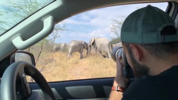 サバンナ国立公園 エトーシャ ナミビアの象の写真サファリ 高品質のフルHd映像 — ストック動画