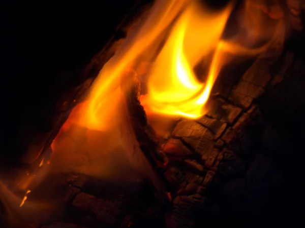 Campfire Stock Picture